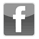 Official Levi LaVallee Facebook Fan Page